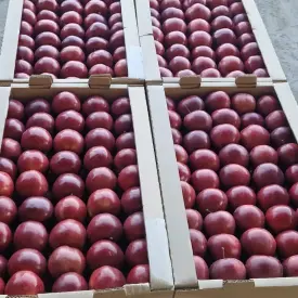 Яблоко Ред Делишес